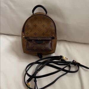 Louis Vuitton Palm Springs Mini